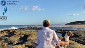 Person with dog looking over rocks and ocean